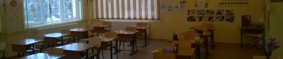 Școala Gimnazială Bircii